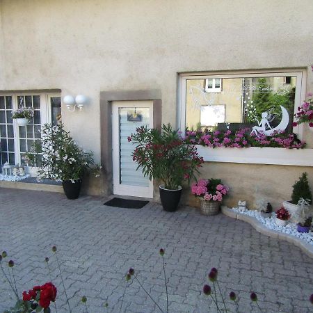 La belle endormie - appartement A Fenetrange Exterior foto